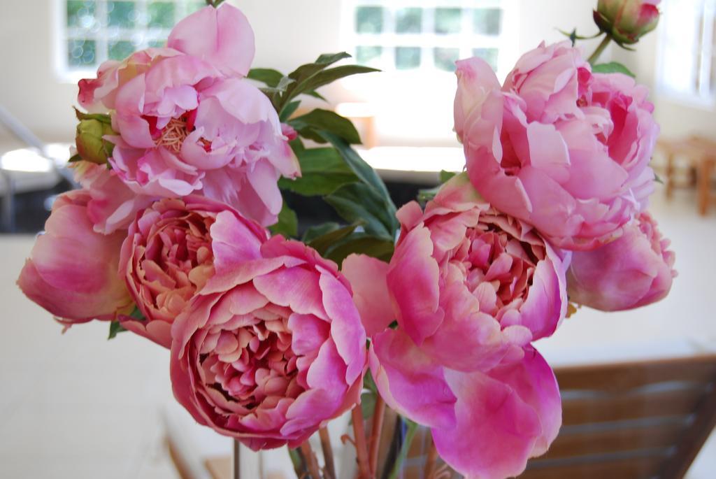 Milton Park Country House Hotel & Spa Bowral Bagian luar foto