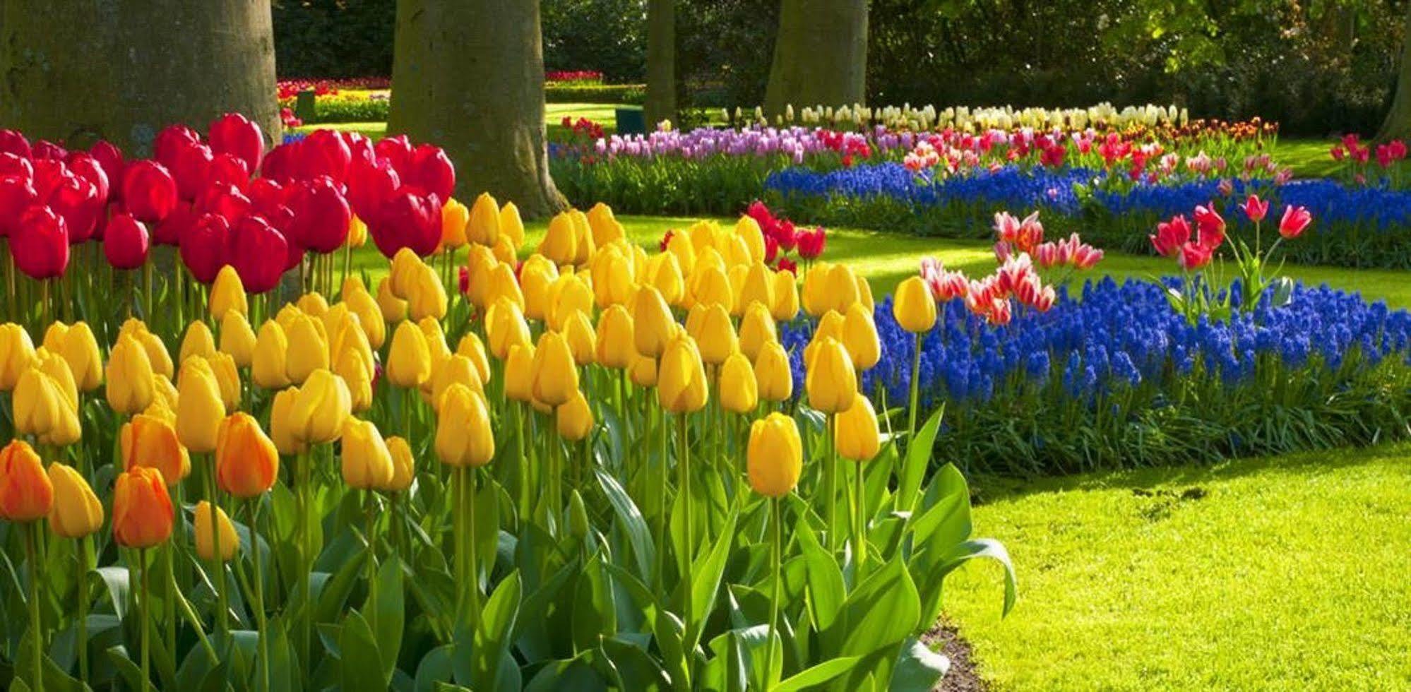 Milton Park Country House Hotel & Spa Bowral Bagian luar foto